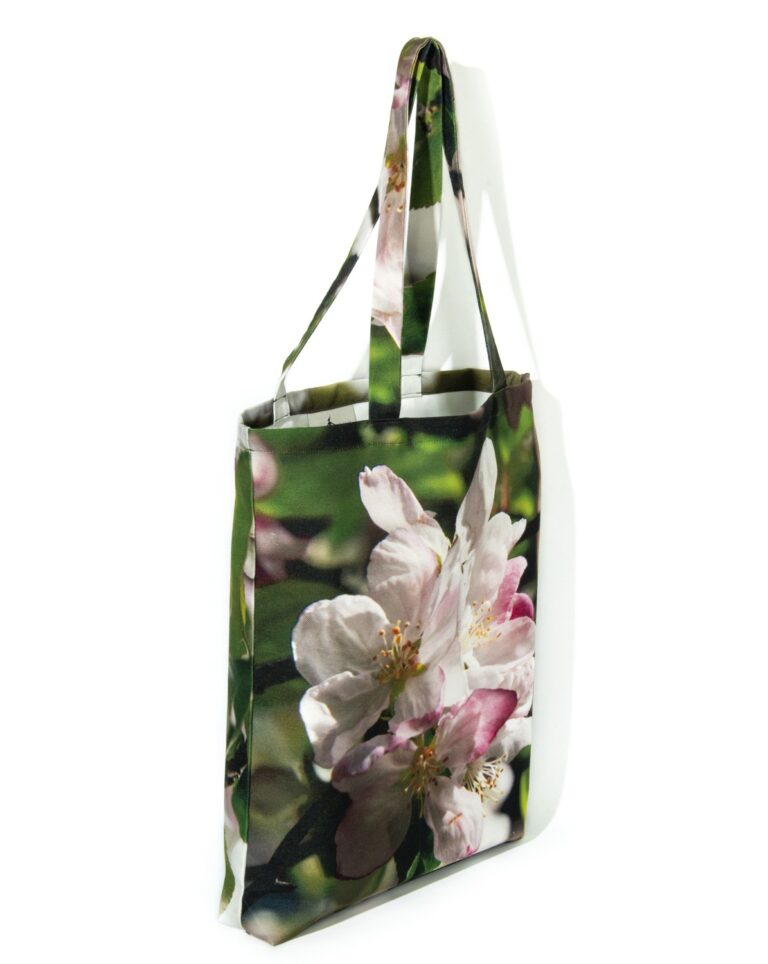 Maron Bouillie -