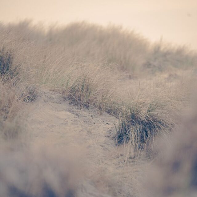 Le Sou Français - Porte-clés - Le Marin