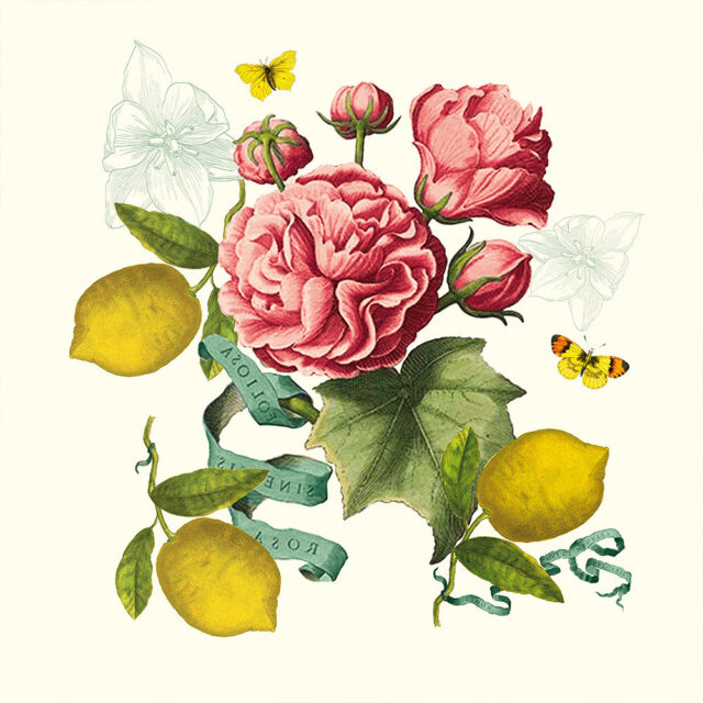 GARNIER THIEBAUT - 4 serviettes de table Citrons de Menton Garnier Thiebaut