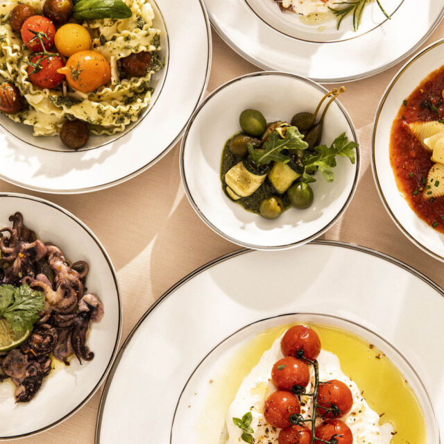 Degrenne - 6 assiettes Galon platine or Degrenne - 4 tailles 2 coloris