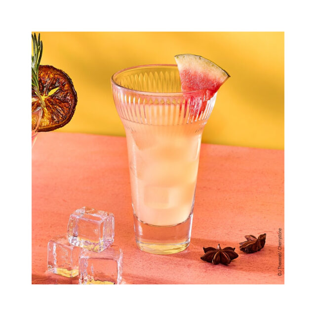 LA ROCHERE - 6 verres à pastis Calanques Fanny La Rochère