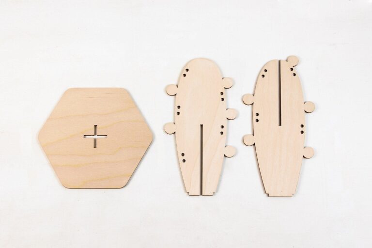 Reine Mère - Cactus - Cactus Arizona