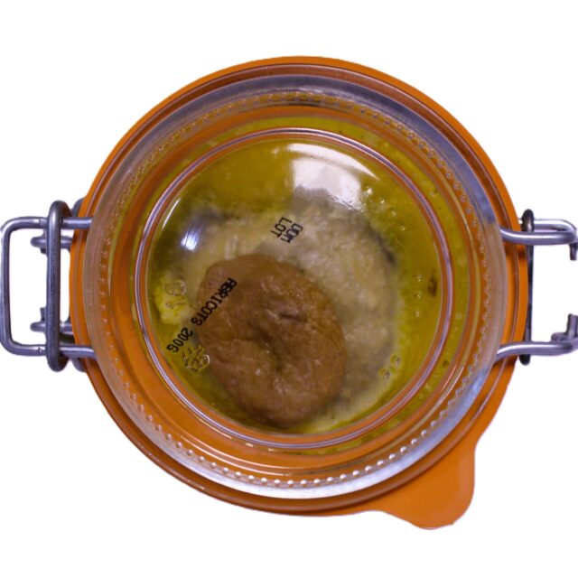 Relais Gourmet - Foie Gras Entier à l’Abricot Sec 80g