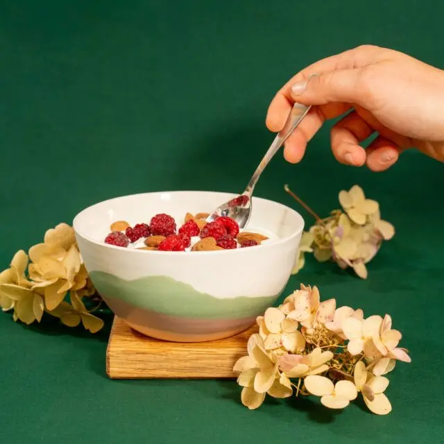 Maison Primavera - Bol Vosges – Origines