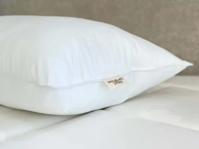 NATUR’LATT LITERIE - Oreiller Mémoire de forme – Ferme