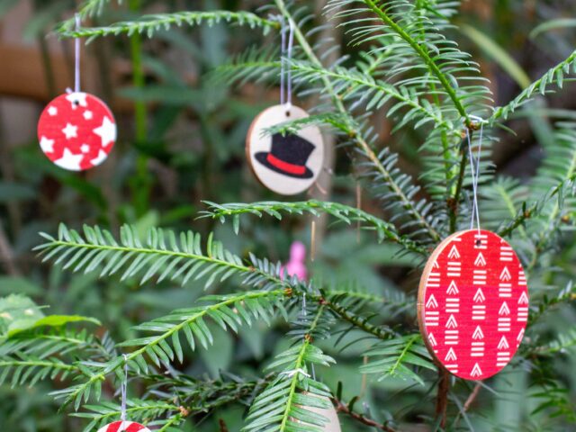 IMG 9178 Reine Mère - Vive le Vent