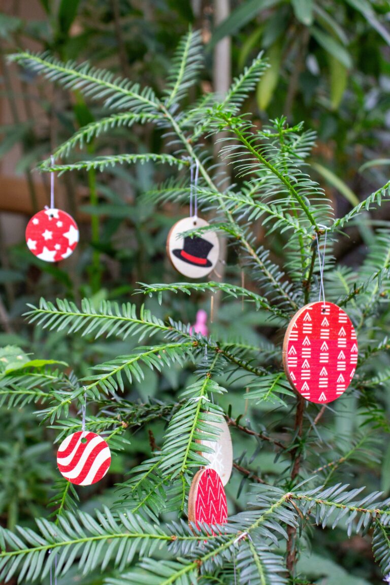 IMG 9178 Reine Mère - Vive le Vent