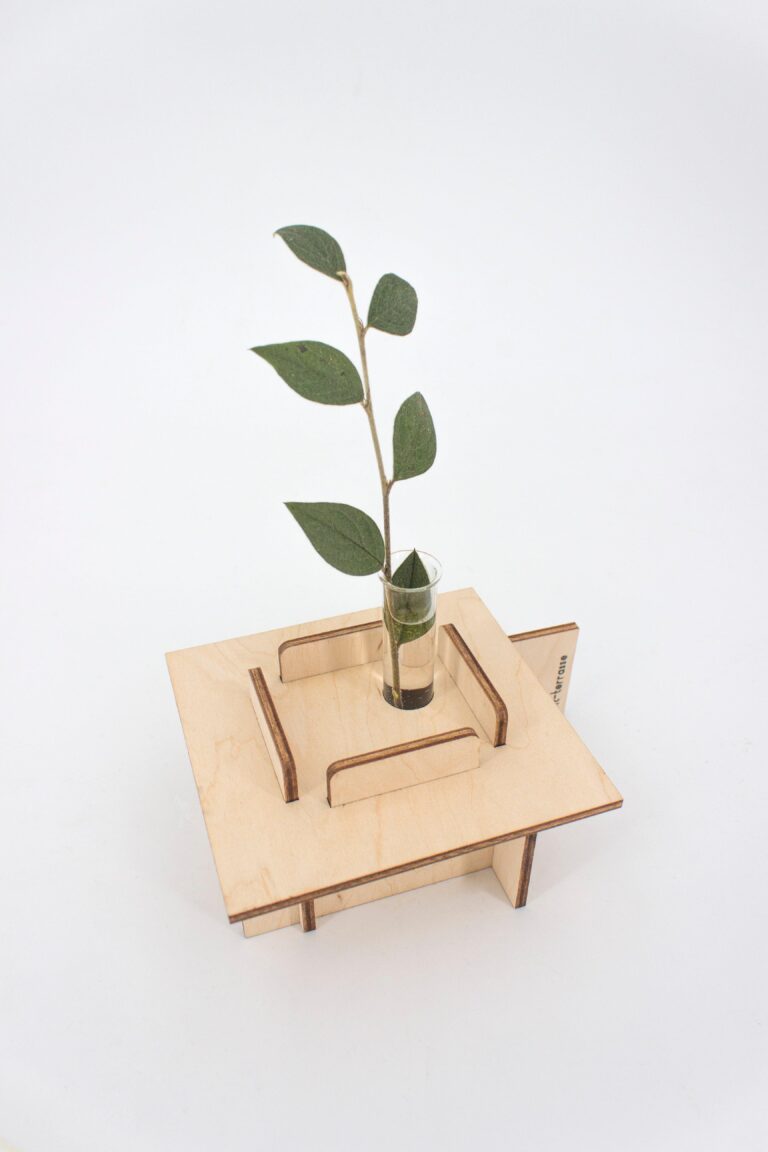 Reine Mère - Architecture - Vases - Toit-Terasse