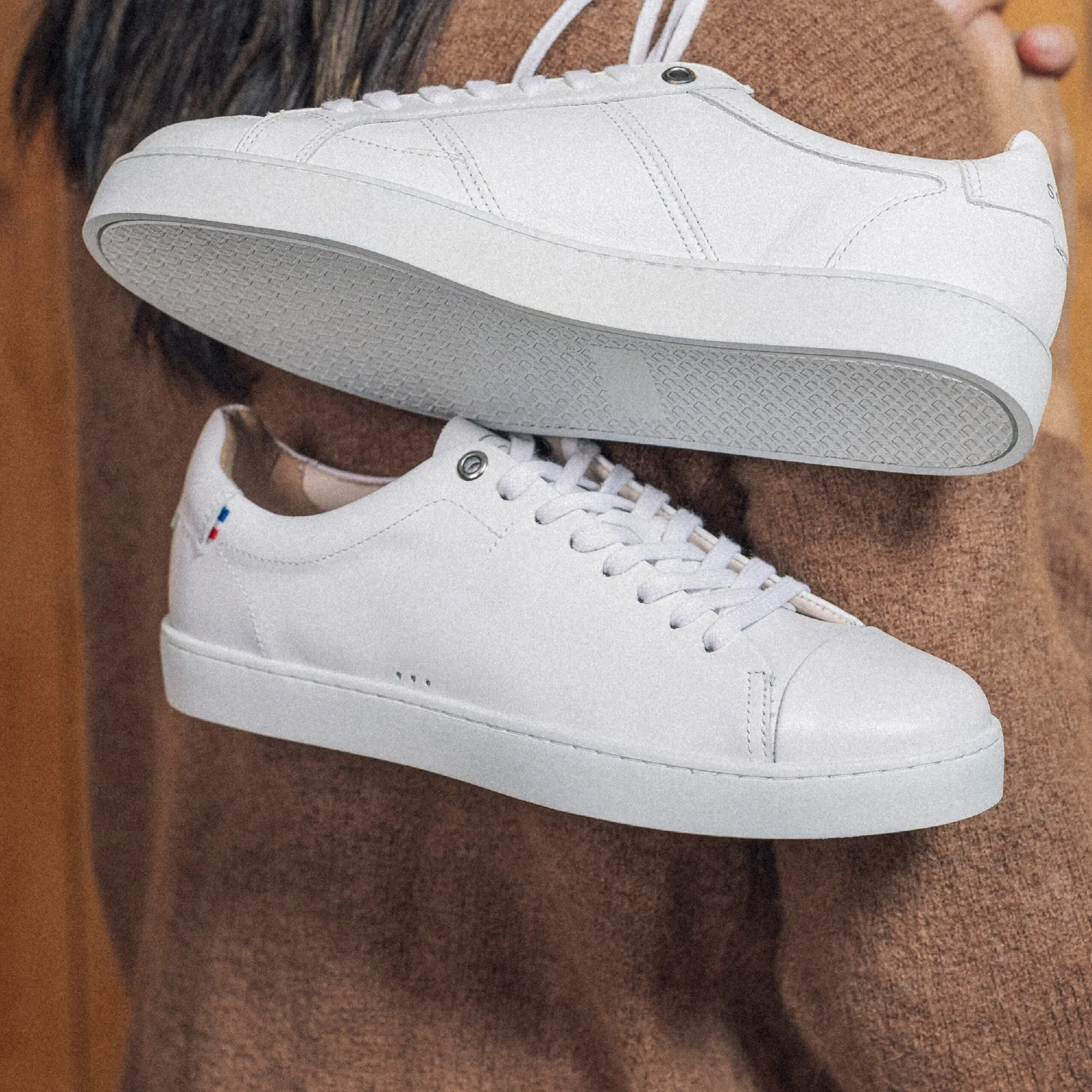 Sessile - Abélia Solidaire