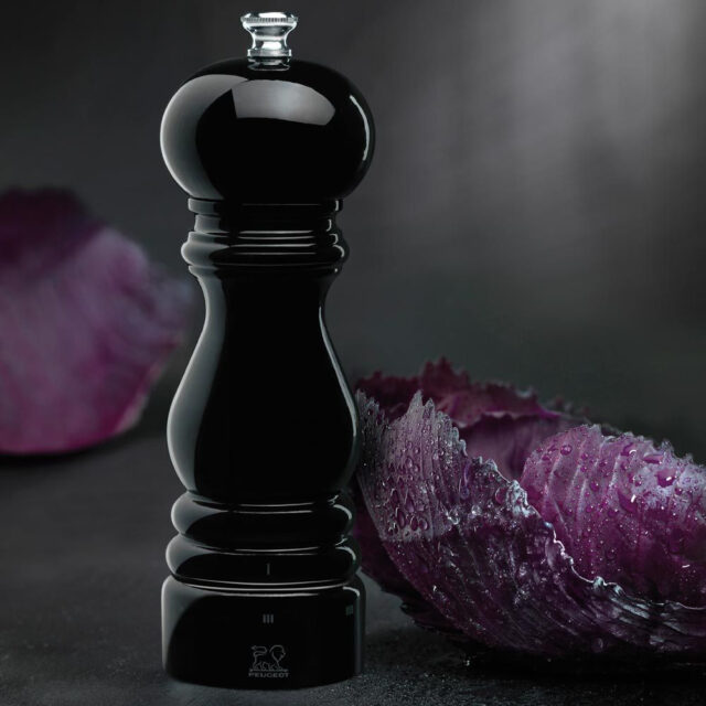 PEUGEOT SAVEURS - Peugeot 2 Moulins Paris 18cm