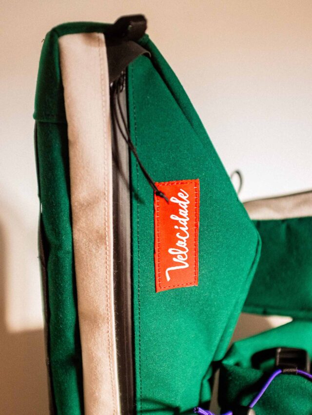 Atelier Velocidade - Gypaète