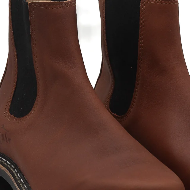 Le Soulor 1925 - Villette Fauve H