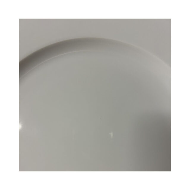 Degrenne - Second choix DEGRENNE lot de 6 assiettes plates Eclipse Blanc 26