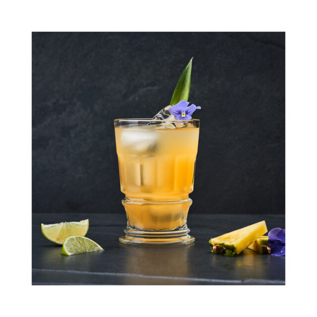 LA ROCHERE - 4 Verres à cocktail Club La Rochère