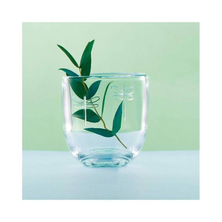 LA ROCHERE - 6 Verres gobelets Libellules LA ROCHERE - 3 tailles
