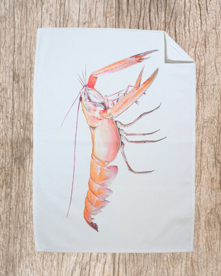 varek.illustrations - Lot de 3 Torchons 100% coton : Langoustine