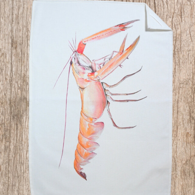 varek.illustrations - Torchon 100% coton : La Langoustine
