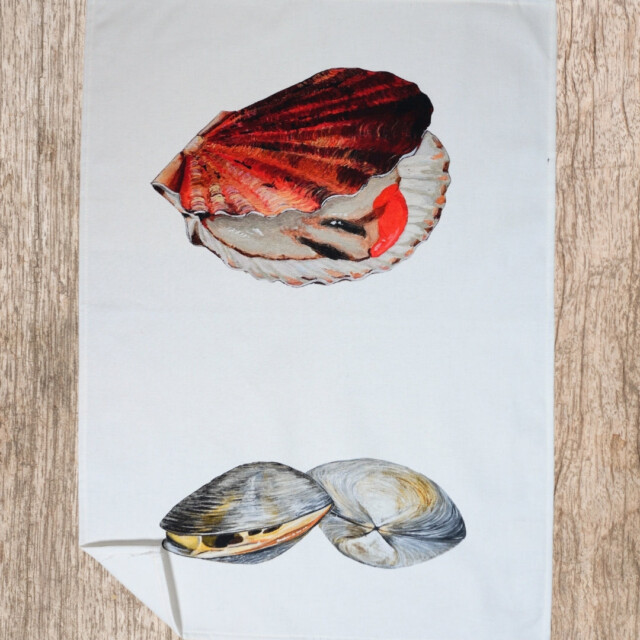 varek.illustrations - Torchon 100% coton : La Coquille Saint Jacque & La Palourde