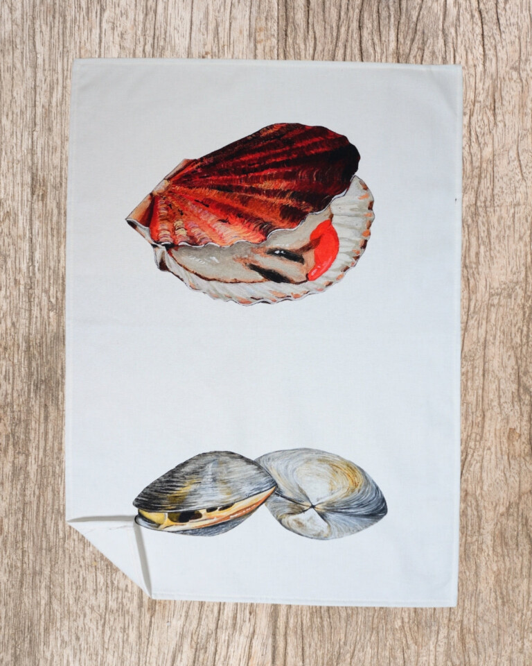 varek.illustrations - Torchon 100% coton : La Coquille Saint Jacque & La Palourde