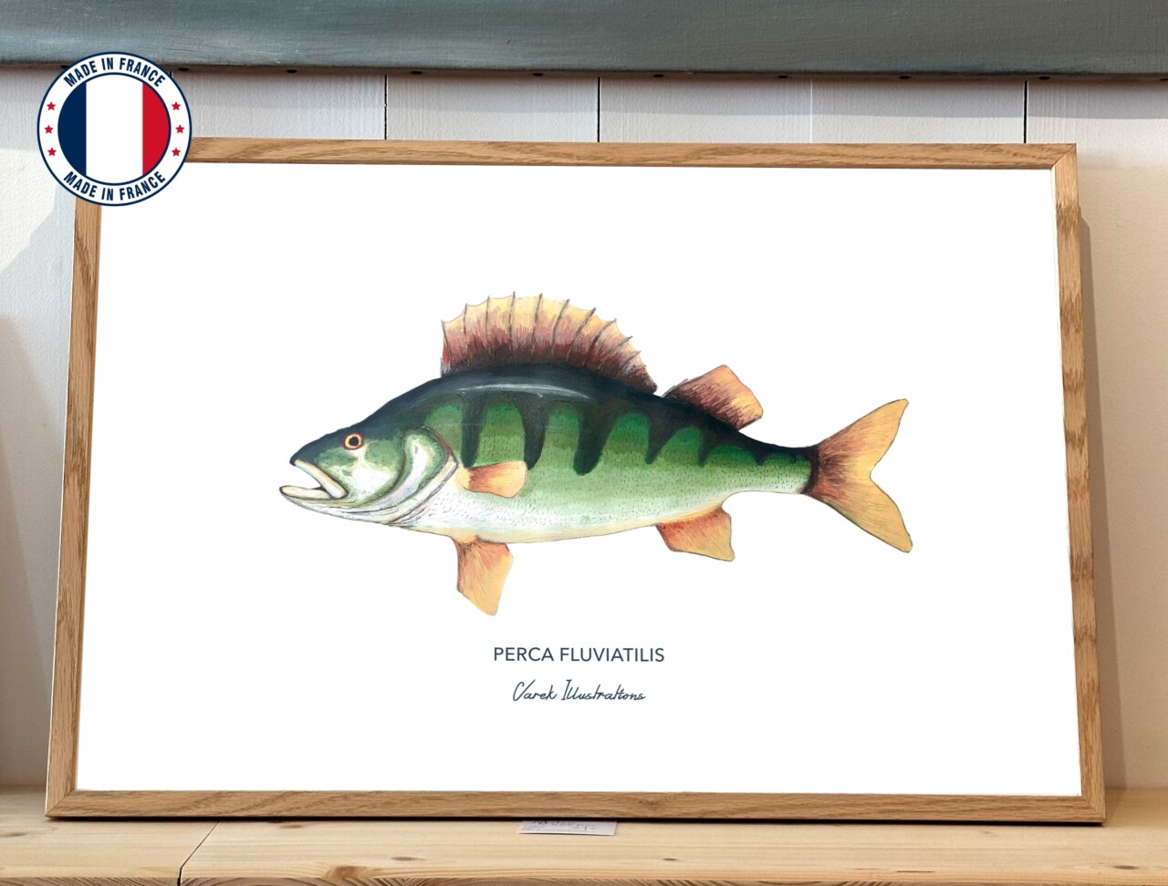 19 898b3abc cf2e 4f2e b376 4dc20bb3a1b3 varek.illustrations - Affiche La Perche – 50 x 70 cm / Avec Cadre en chêne