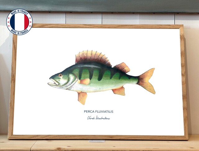 varek.illustrations - Affiche La Perche