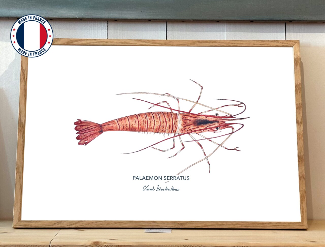 varek.illustrations - Affiche La Crevette – 50 x 70 cm / Avec Cadre en Chêne