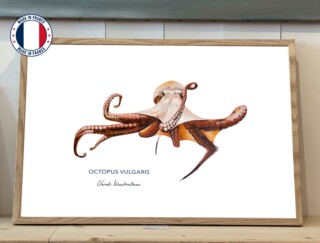 Varek Illustrations - Affiche Le Poulpe