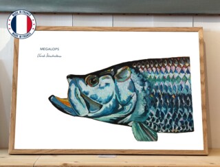 Affiche Le Tarpon par la marque Varek Illustrations Varek Illustrations - Affiche Le Tarpon