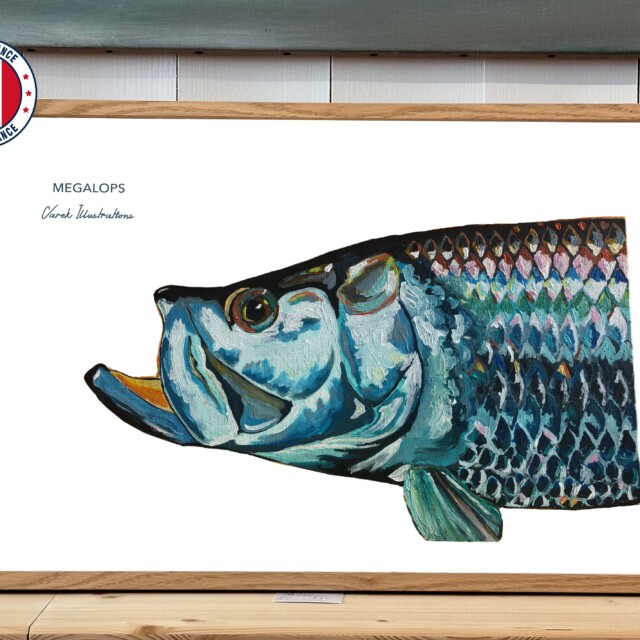 varek.illustrations - Affiche Le Tarpon