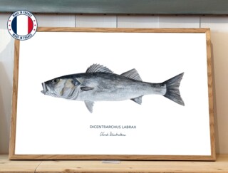 Affiche Le Bar par la marque Varek Illustrations Varek Illustrations - Affiche Le Bar