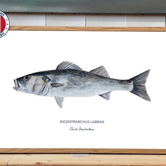 varek.illustrations - Affiche Le Bar