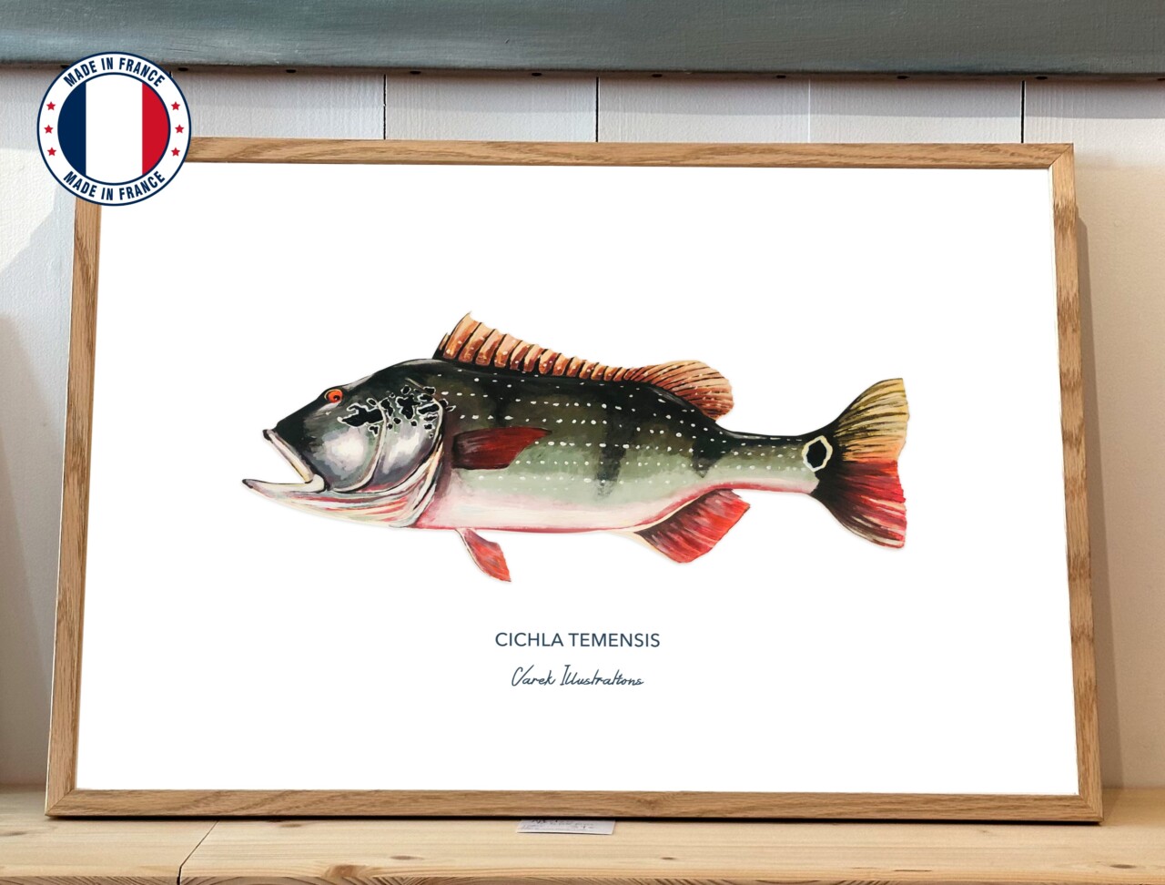 varek.illustrations - Affiche Le Peacock Bass – 50 x 70 cm / Avec Cadre en Chêne