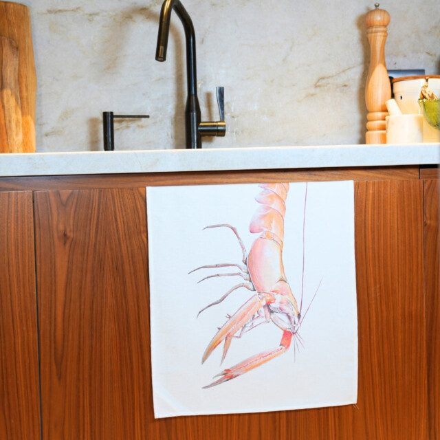 varek.illustrations - Torchon 100% coton : La Langoustine