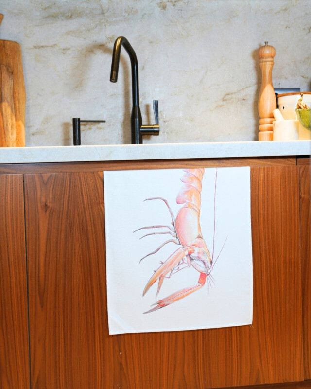 varek.illustrations - Torchon 100% coton : La Langoustine