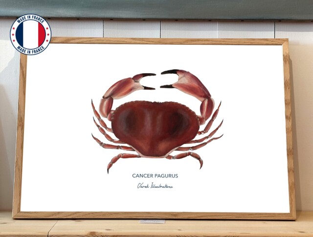 varek.illustrations - Affiche Le Tourteau