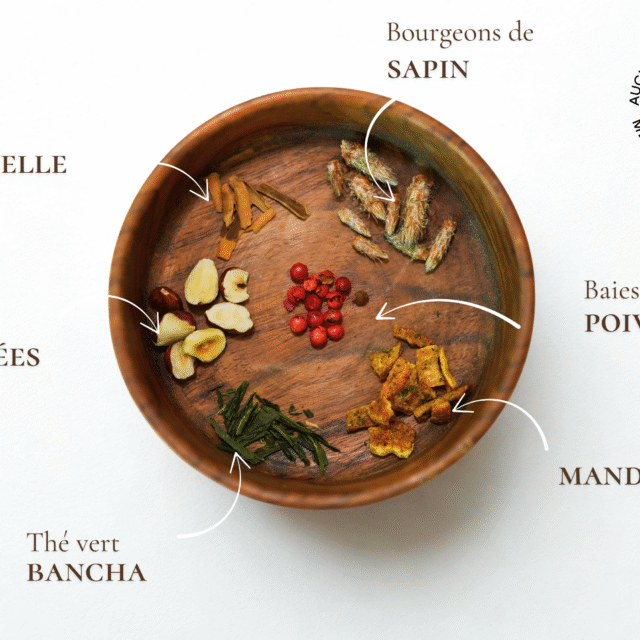 Maison Théerie - N°3 Thé vert de Noël - Bois d'Épines