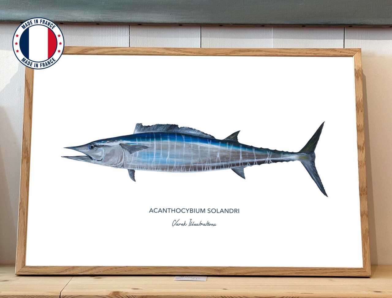 43 varek.illustrations - Affiche Le Wahoo – 50 x 70 cm / Avec Cadre en Chêne