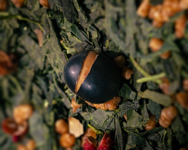 Maison Théerie - N°4 Genmaicha