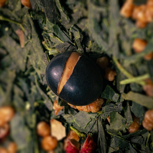 Maison Théerie - N°4 Genmaicha