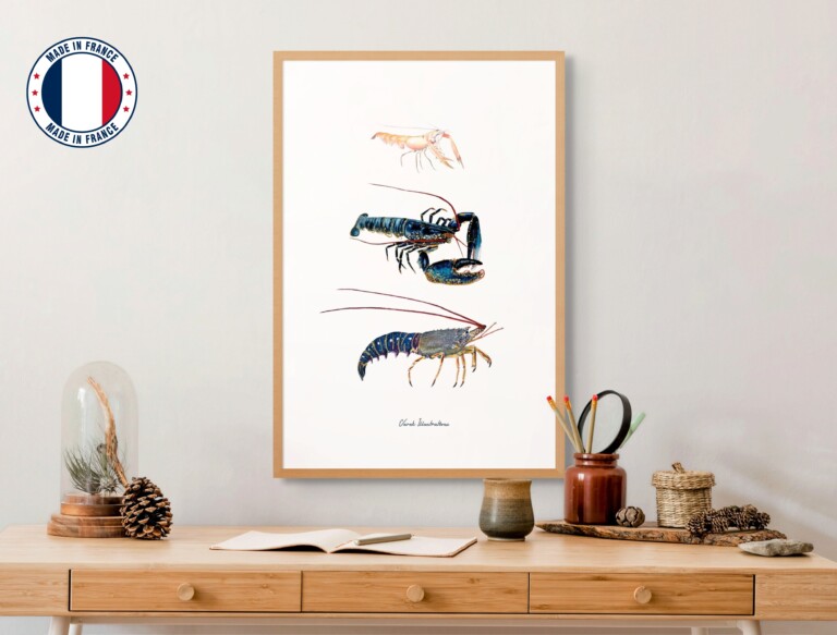 varek.illustrations - Affiche : Les Crustacés à Pinces