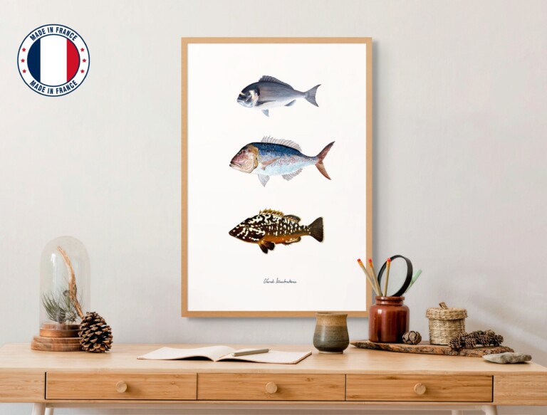 varek.illustrations - Affiche : Les Poissons de Méditerranée