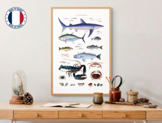 Varek Illustrations - Affiche : La vie marine de lAtlantique