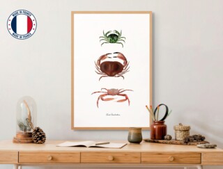 Varek Illustrations - Affiche : Les Crabes