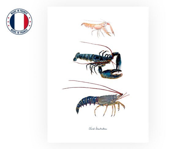 varek.illustrations - Affiche : Les Crustacés à Pinces