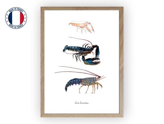 varek.illustrations - Affiche : Les Crustacés à Pinces