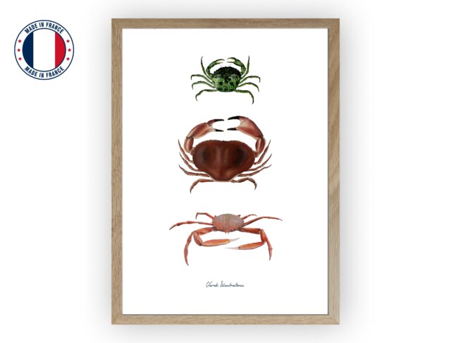 varek.illustrations - Affiche : Les Crabes