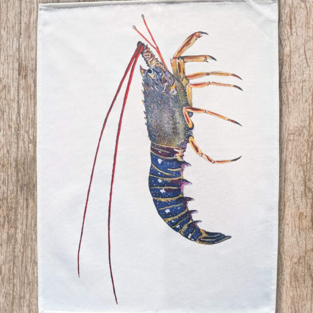 varek.illustrations - Torchon 100% coton : La Langouste