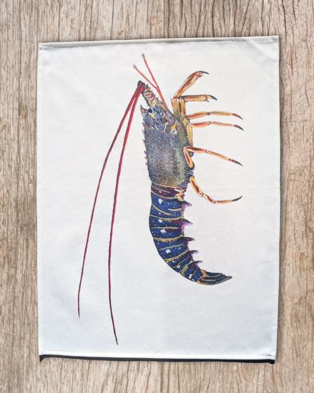 varek.illustrations - Torchon 100% coton : La Langouste