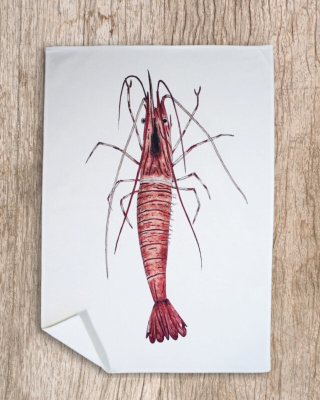 varek.illustrations - Torchon 100% coton : La Crevette