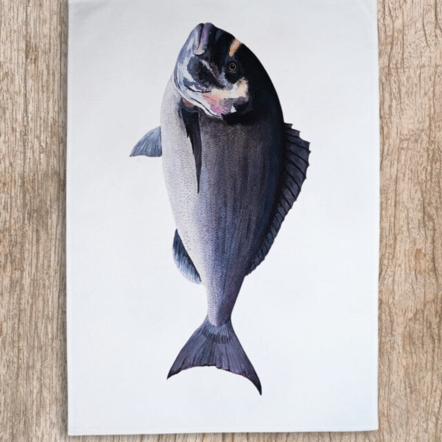 varek.illustrations - Lot de 3 Torchons 100% coton : Les poissons de nos côtes